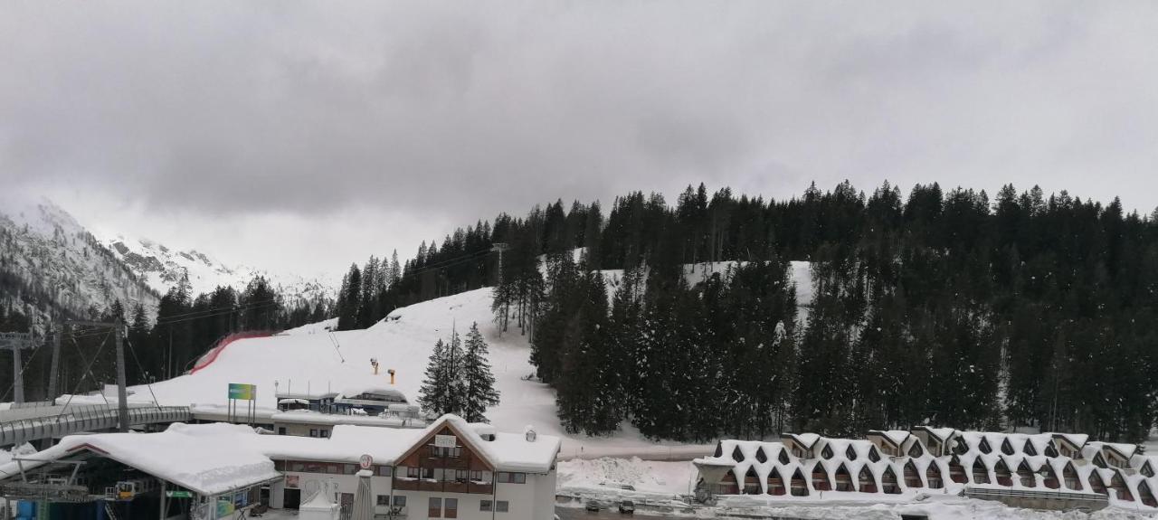 Appartamento Golf Campiglio / Luxapt / Fronte Piste-impianti-golf *