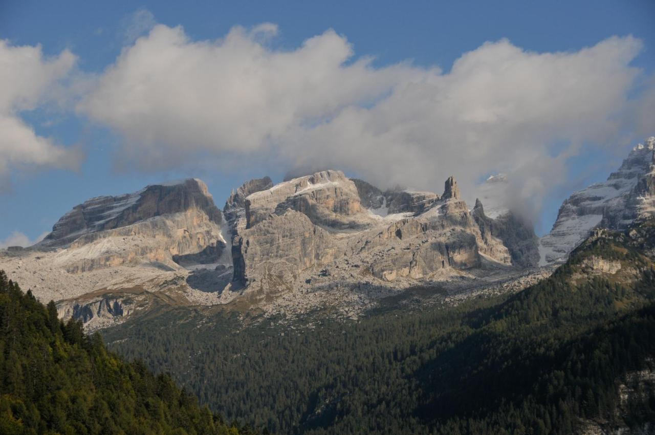 Appartamento Golf Campiglio / Luxapt / Fronte Piste-impianti-golf Madonna